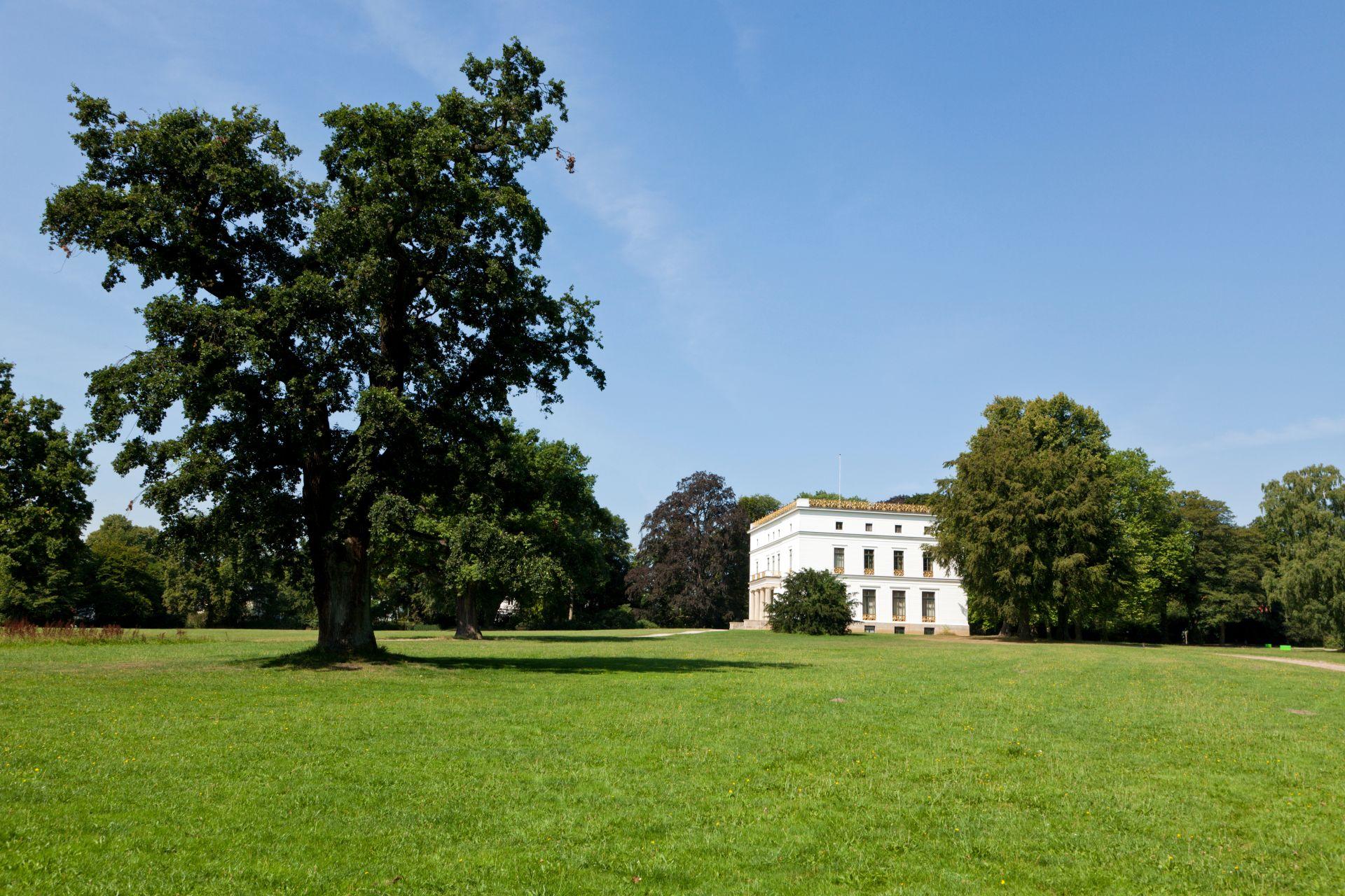 Gruene Wiese mit alten Baeumen und weißem Herrenhaus im Jenischpark in Hamburg an einem klaren Sommertag
