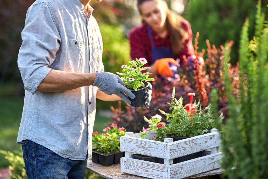 Zwei Personen pflanzen Gartenblumen | Tauchpumpe für Zisterne